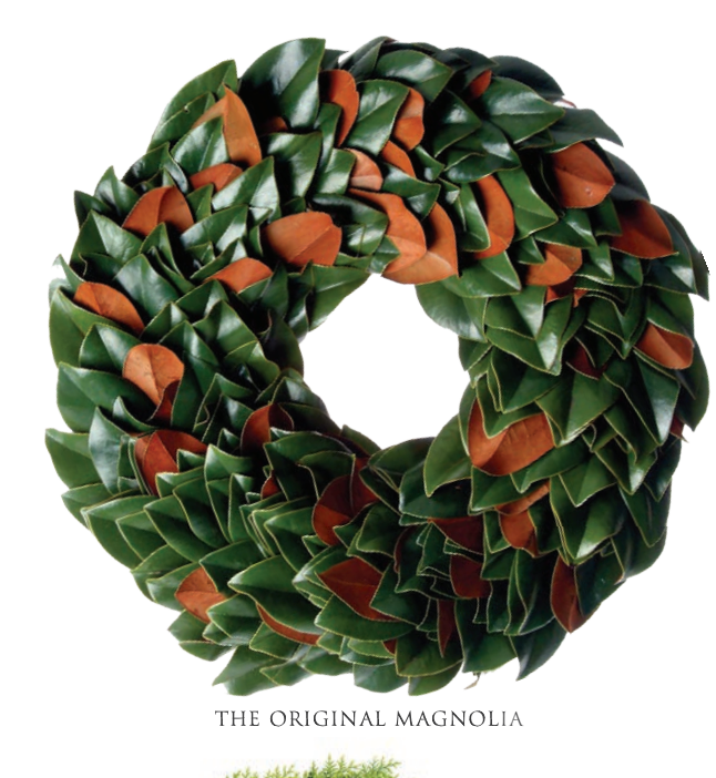 Original Magnolia Wreath 28"