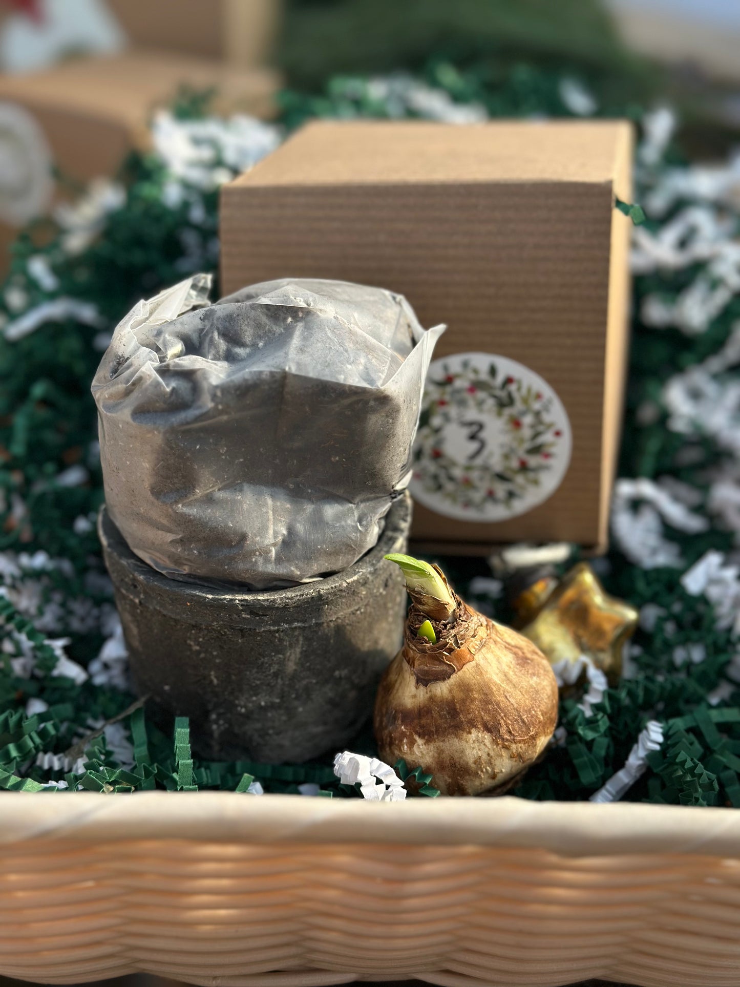 12 Days of Christmas Gift Package