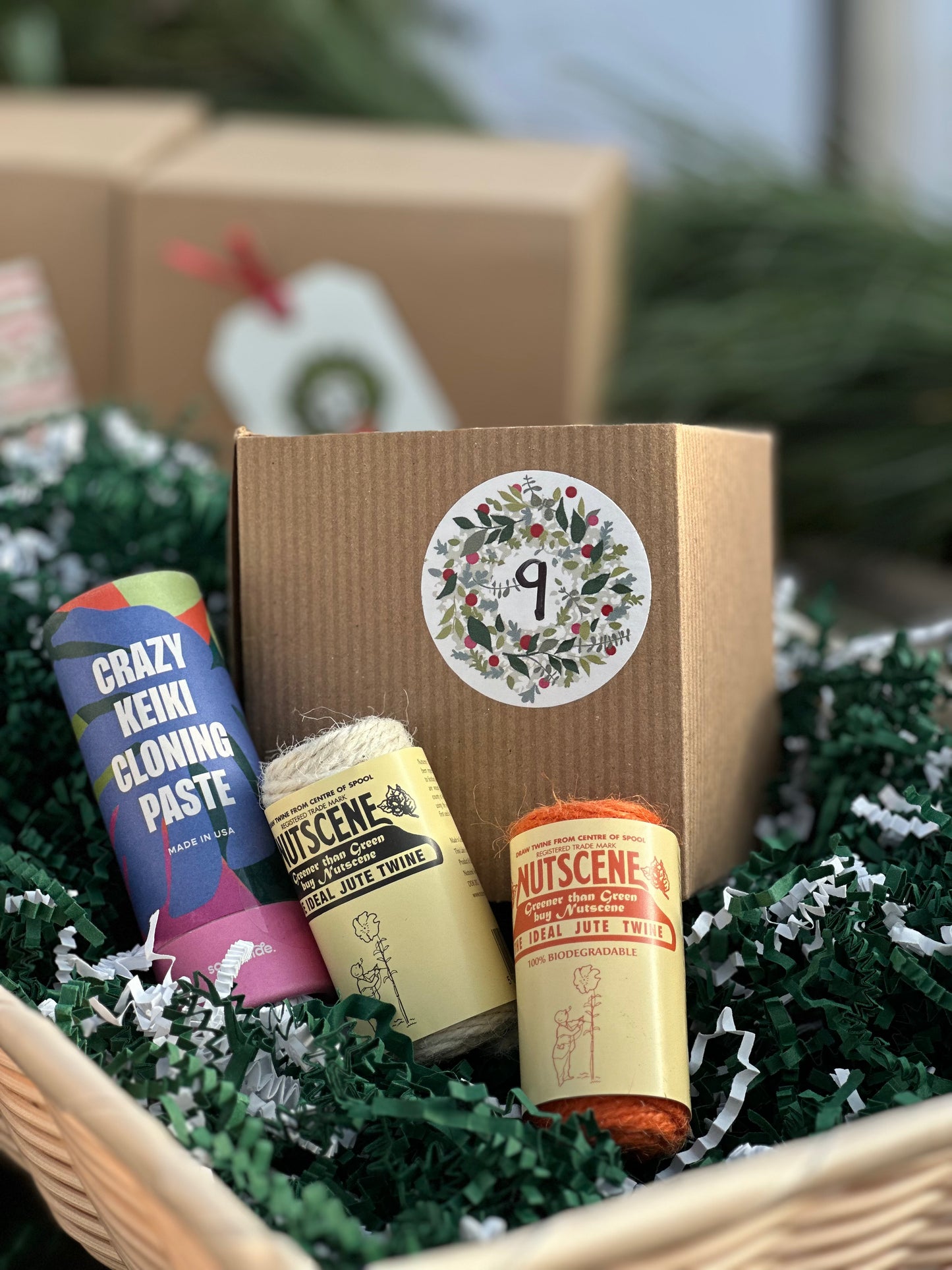 12 Days of Christmas Gift Package