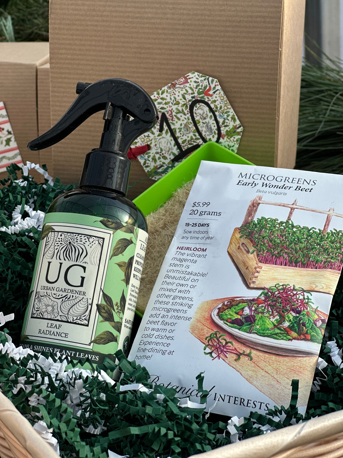 12 Days of Christmas Gift Package