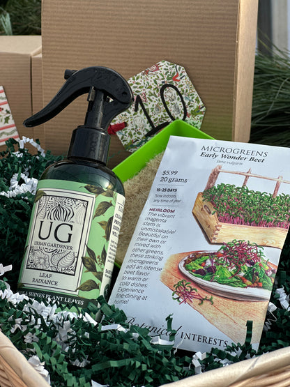 12 Days of Christmas Gift Package